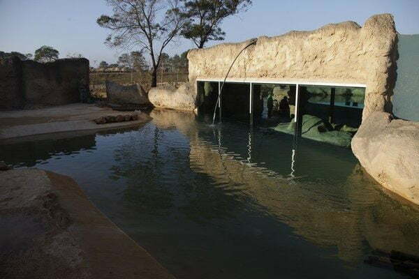 Jardin Zoologique De Rabat Yalaho 100 000 Entreprises Et Experiences Au Maroc